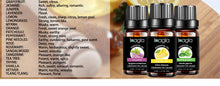 Charger l'image dans la galerie, Inagla Sandalwood Essential Oil Pure Natural 10ML Aromatherapy Diffusers