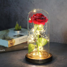 Charger l'image dans la galerie, Artificial Eternal Rose LED Light Beauty The Beast In Glass Cover Christmas