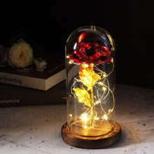 Charger l'image dans la galerie, Artificial Eternal Rose LED Light Beauty The Beast In Glass Cover Christmas