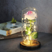 Charger l'image dans la galerie, Artificial Eternal Rose LED Light Beauty The Beast In Glass Cover Christmas