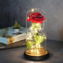 Charger l'image dans la galerie, Artificial Eternal Rose LED Light Beauty The Beast In Glass Cover Christmas