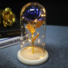 Charger l'image dans la galerie, Artificial Eternal Rose LED Light Beauty The Beast In Glass Cover Christmas