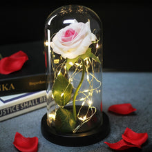 Charger l'image dans la galerie, Artificial Eternal Rose  LED Light Beauty The Beast In Glass Cover Christmas
