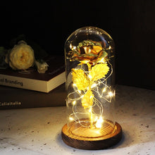 Charger l'image dans la galerie, Artificial Eternal Rose  LED Light Beauty The Beast In Glass Cover Christmas
