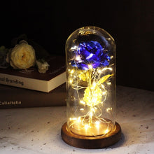 Charger l'image dans la galerie, Artificial Eternal Rose  LED Light Beauty The Beast In Glass Cover Christmas
