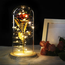 Charger l'image dans la galerie, Artificial Eternal Rose  LED Light Beauty The Beast In Glass Cover Christmas
